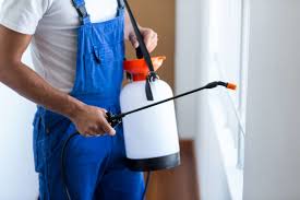 Best Pest Prevention Services  in Queens, NY